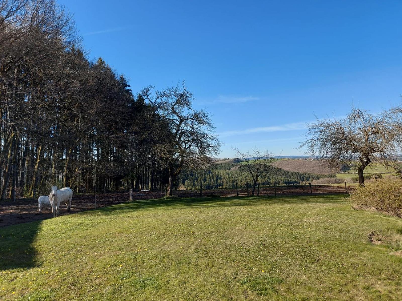 Urlaub Mit Hund Auf Dem Bauernhof Hofswald Apartment Euscheid Exterior photo