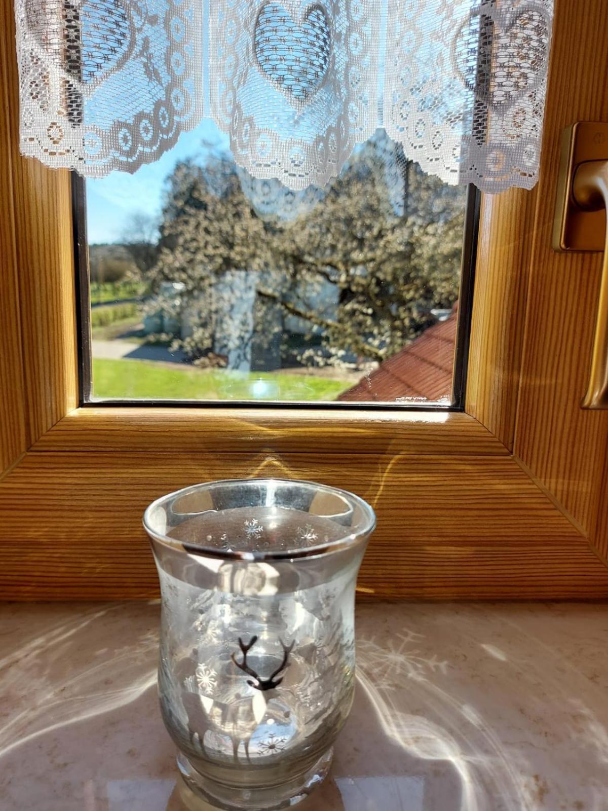 Urlaub Mit Hund Auf Dem Bauernhof Hofswald Apartment Euscheid Exterior photo
